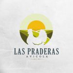 proyeccion