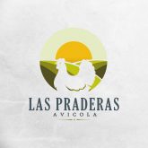 proyeccion